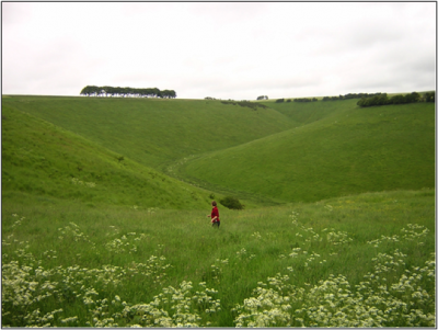 Figure 2. Dry valley at Fairy Dale (Image Copyright: C. Neal).